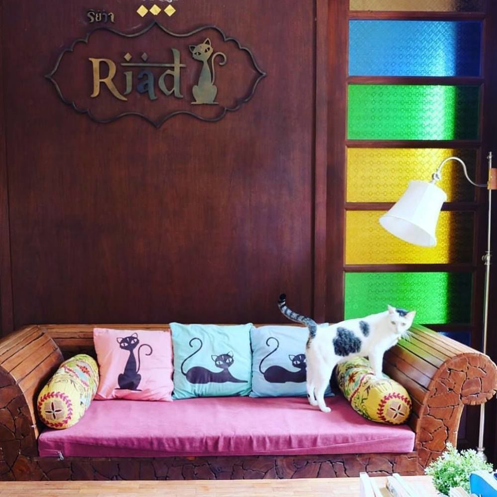 Riad HHQ Zewnętrze zdjęcie